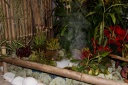 IMG_6846_p_raw.jpg