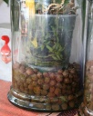 pot-billes~0.jpg