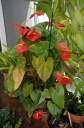 DSC_5161.jpg