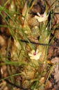 IMG_1214r.jpg