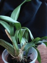 DSC00258.JPG
