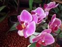 DSC09411.JPG