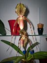 floraison_2012_002.jpg