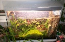 orchidees_et_boites_fer_015.jpg