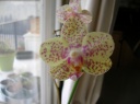 DSCN1755.JPG