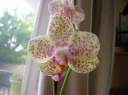 DSCN1756.JPG