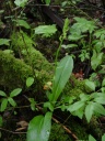 DSC02297~0.JPG