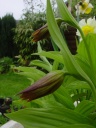 DSC08591.JPG