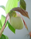 DSC08691.JPG