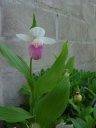 DSC08819.JPG