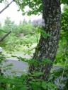DSC09231.JPG