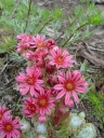 DSC09249.JPG