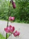 DSC09353.JPG