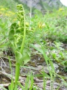 DSC09381.JPG