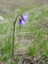 DSC09411.JPG