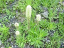DSC09427.JPG