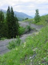 DSC09443.JPG