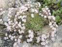 DSC09456.JPG
