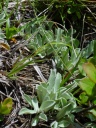 DSC09510.JPG