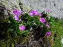 DSC09540.JPG