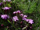 DSC09621.JPG