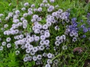 DSC09719.JPG