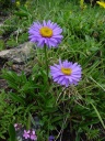 DSC09736.JPG