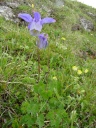 DSC09742.JPG