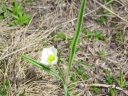 DSC09799.JPG