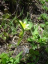 DSC09801.JPG