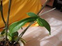 DSCN3805.JPG