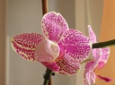DSCN3809.JPG