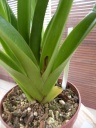 DSCN0413.JPG