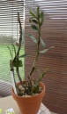 DSCN0417.JPG