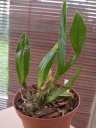 DSCN0423.JPG