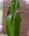 DSCN0425.JPG