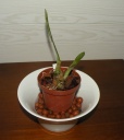 DSCN0431.JPG