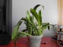 DSCN0608.JPG