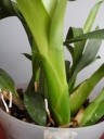 DSCN0609.JPG