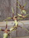 DSCN0666.JPG