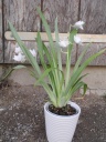 DSCN0667.JPG