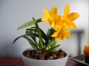 DSCN0698.JPG