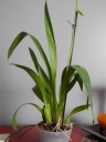 DSCN0701.JPG