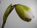 DSCN0720.JPG