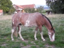 DSCN0738.JPG