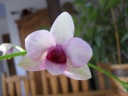 11-12-11_28429.JPG