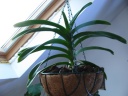 14-11-11_28329.JPG