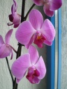 2011-05-26_18-20-35_0009.jpg