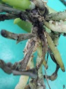 2011-06-12_17-45-25_0007.jpg