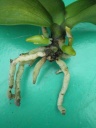 2011-06-12_18-00-58_0011.jpg